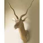 Carved Trophy Head-Ibex-Cantoni Furniture-modern meets eclectic